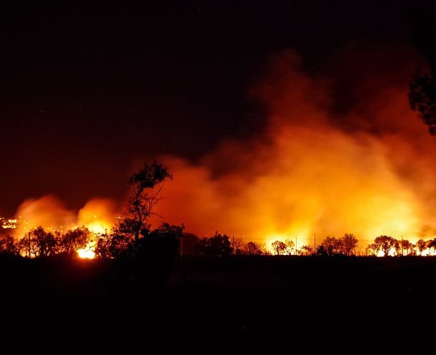 12 Symbolic Meanings of Dreaming of Wildfires
