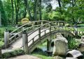 9 Symbolic Meanings of Dreaming of a Beautiful Garden
