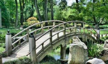 9 Symbolic Meanings of Dreaming of a Beautiful Garden