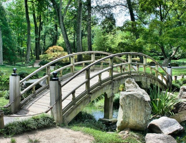 9 Symbolic Meanings of Dreaming of a Beautiful Garden