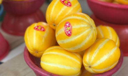13 Symbolic Meanings of Dreaming of Melons