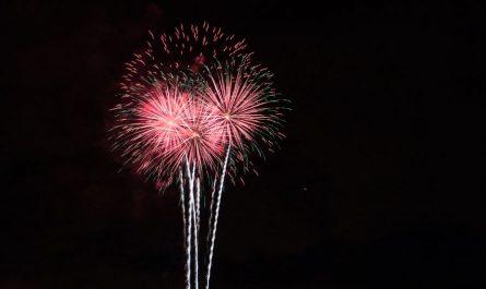 12 Symbolic Meanings of Dreams about Fireworks