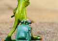 8 Symbolic Meanings of Dreams About Packing