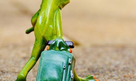 8 Symbolic Meanings of Dreams About Packing