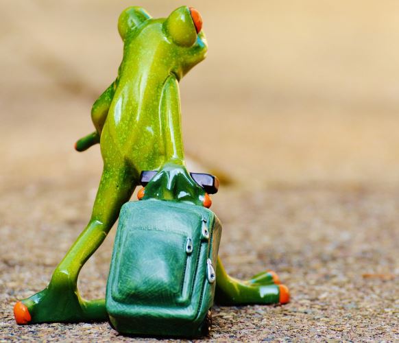 8 Symbolic Meanings of Dreams About Packing