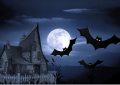 What does dreaming of bats symbolize?