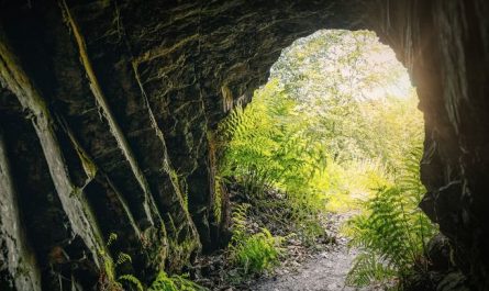 What does dreaming of a cave symbolize?