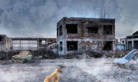 7 Symbolic Meanings of Dreams About Collapse