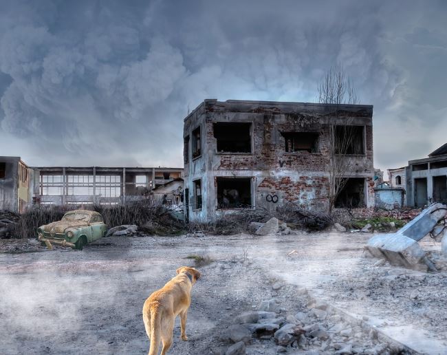 7 Symbolic Meanings of Dreams About Collapse