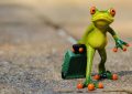15 Symbolic Meanings of Dreaming About Frogs