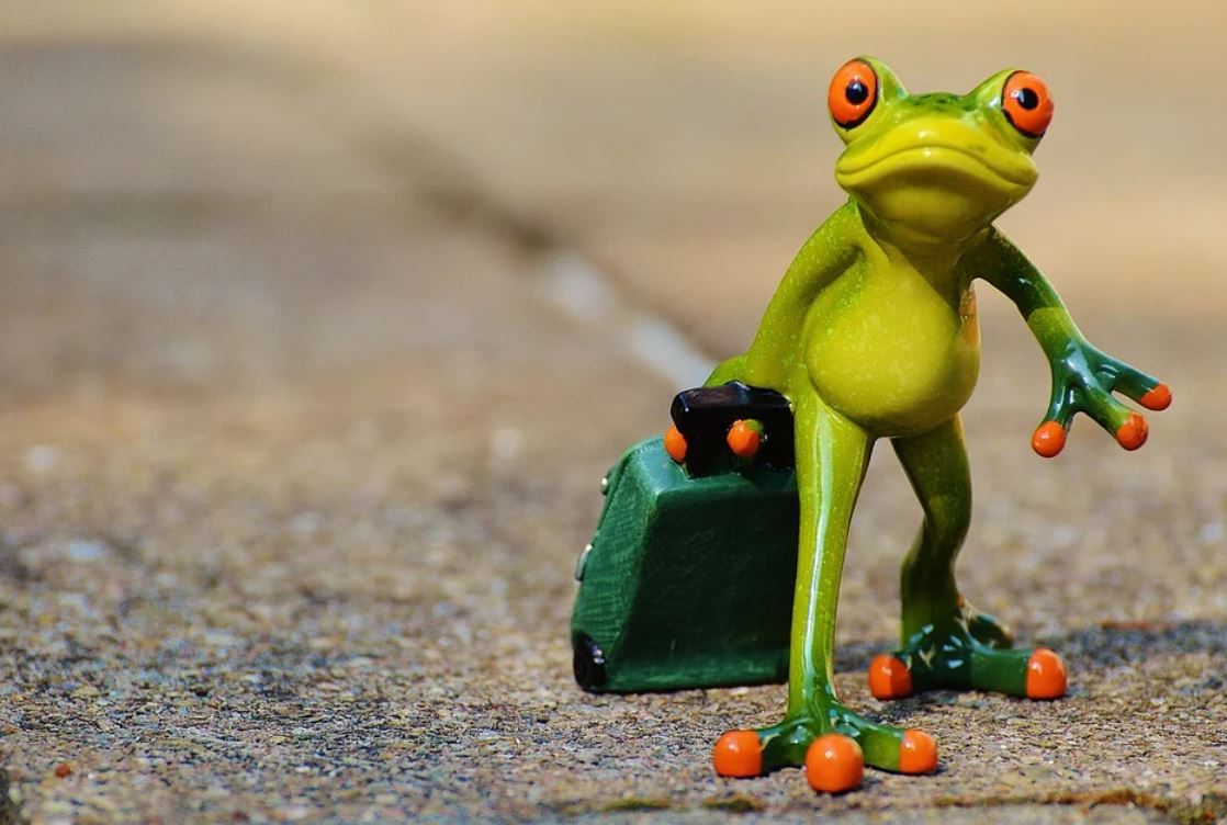 15 Symbolic Meanings of Dreaming About Frogs