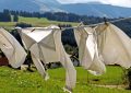 7 Symbolic Meanings of Dreaming About Not Wearing Pants